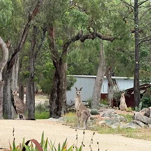 ***** Bed & Breakfast 31 The Rocks Australia